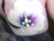 Krisztike vendégem körmei